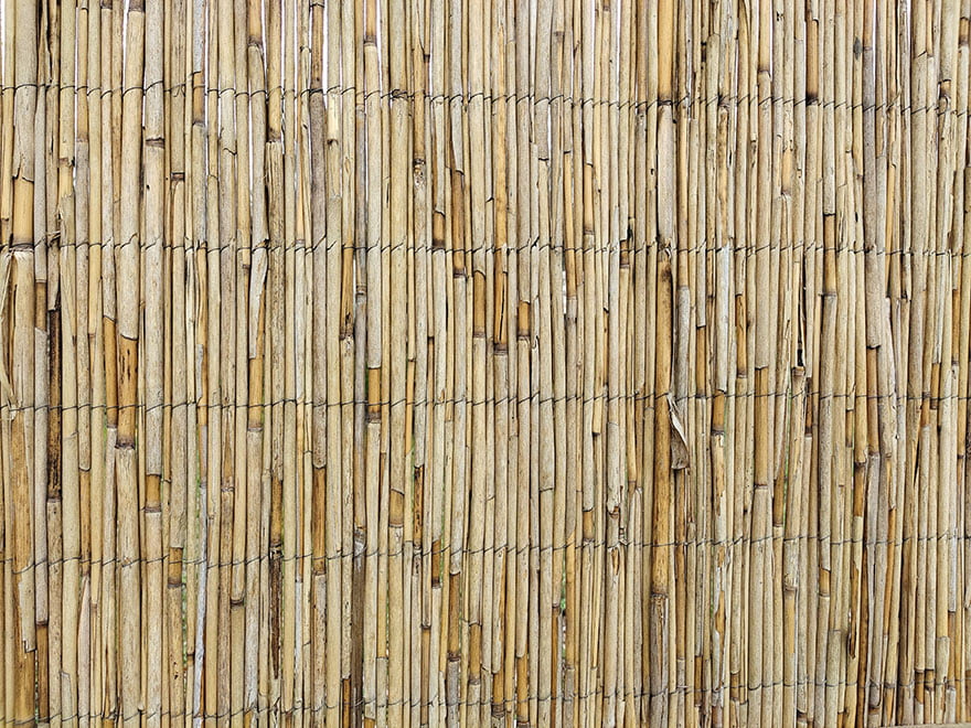 Bamboo fence