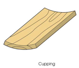 common wood defects - cupping