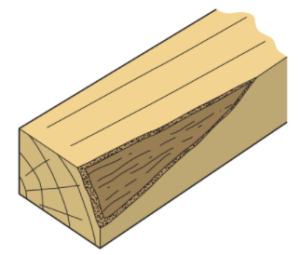 common wood defects - knots