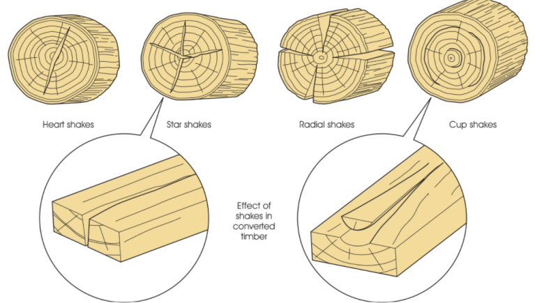 5 Types of Absurd Wood Defects to Look for When Building 3 common wood defects - shakes