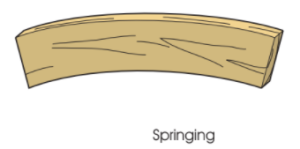 common wood defects - springing