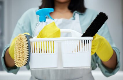 keep your house clean and organized